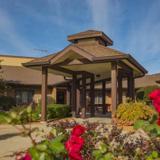 A welcoming building entrance surrounded by vibrant flowers and greenery under a clear blue sky.