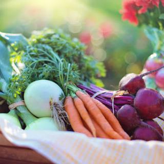 A vibrant assortment of fresh vegetables ready for a wholesome meal.