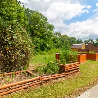 A lush garden featuring wooden raised beds filled with greenery, set against a backdrop of trees and a clear blue sky.