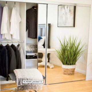 A neatly organized closet with mirrored sliding doors and a potted plant nearby.