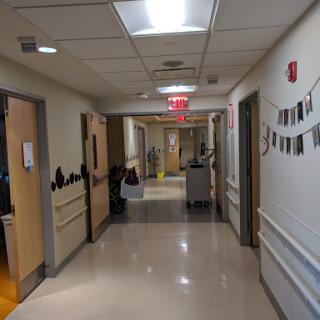 A view of a hospital hallway with doors leading to patient rooms and medical supplies.