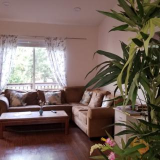 A cozy living room with a large couch, coffee table, and lush greenery by the window.