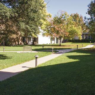 A peaceful outdoor scene with a grassy area, trees, and a walkway leading to buildings.