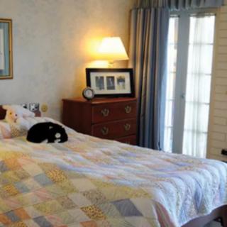 A cozy bedroom featuring a quilt-covered bed with a cat resting on it, illuminated by a bedside lamp atop a dresser with framed pictures and a clock.