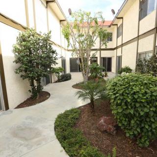 A tranquil courtyard with lush greenery and a curved walkway between buildings.