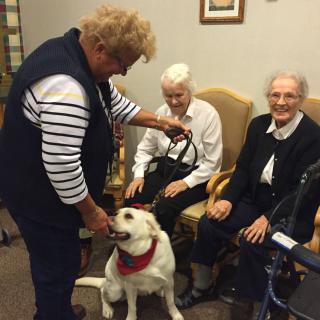 An elderly group enjoying the company of a therapy dog indoors.