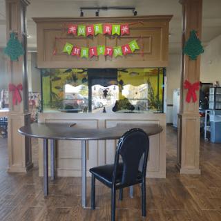 A decorated holiday area featuring a fish tank and festive ornaments.