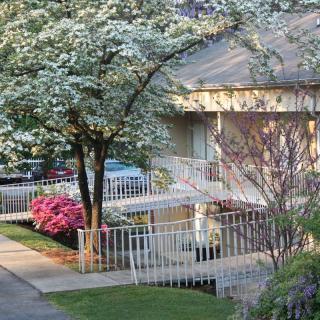 A house surrounded by blooming trees and colorful flowers during spring.