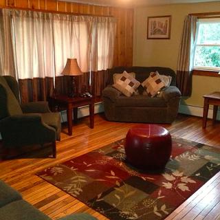 A cozy living room with wooden flooring, featuring a sofa, armchair, and decorative carpet.