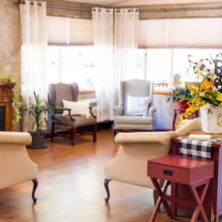 A cozy living room with elegant furniture and decorative plants.