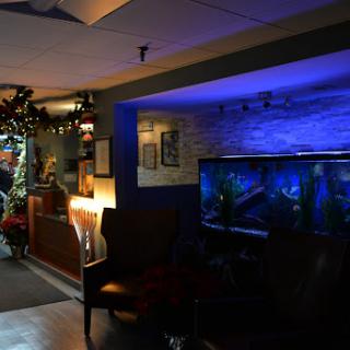 A cozy living space featuring an aquarium, soft lighting, and comfortable seating.