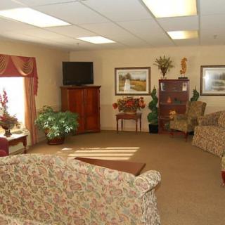 A cozy living room with sofas, a TV, and decorative plants.
