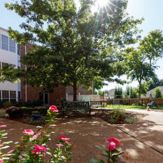 A serene outdoor garden featuring vibrant flowers and a large tree, bathed in sunlight.