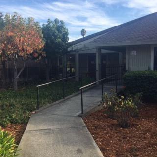 An accessible building entrance featuring a ramp and handrails surrounded by greenery.