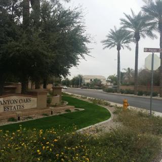 A suburban street lined with palm trees and a neighborhood sign.