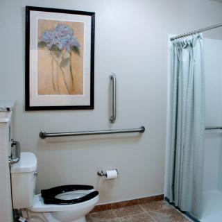 An accessible bathroom with a shower, toilet, and grab bars, featuring wall art and a tiled floor.