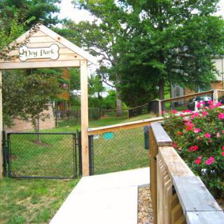 Entrance to a dog park with a fence and pathway surrounded by greenery.