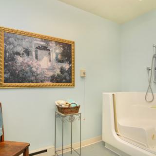 A bathroom featuring a walk-in bathtub and a framed painting on light blue walls.