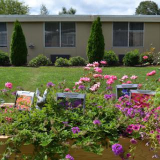 A vibrant garden filled with blooming flowers in front of a cozy house.