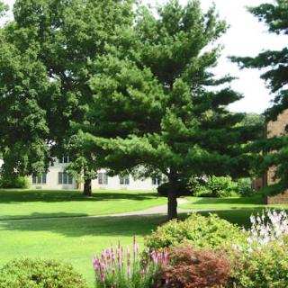 A serene view of a lush garden with vibrant flowers and tall trees under bright sunlight.