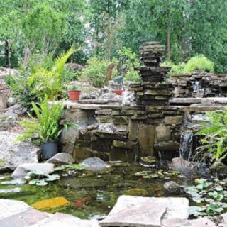 A serene garden pond with a cascading waterfall surrounded by lush greenery.