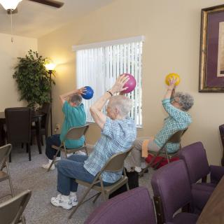 A group of seniors participating in a seated exercise class, using colorful balls.