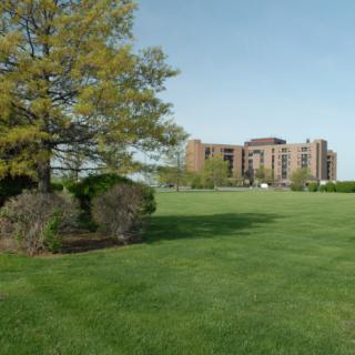 A large grassy field with a tree and a building in the distance under a clear blue sky.