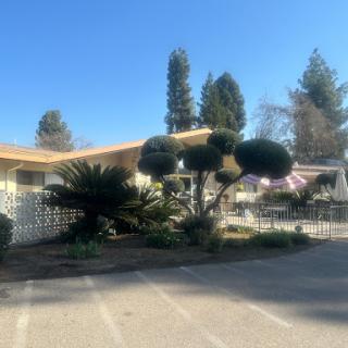 A well-maintained exterior view of a building surrounded by neatly shaped shrubs and trees under a clear blue sky.