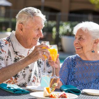 An elderly couple shares a joyful toast during an outdoor brunch.