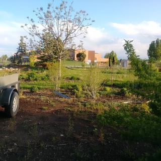 A serene view of a rural landscape with scattered trees and greenery, featuring a trailer in the foreground.