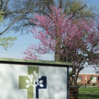 A sign with a cross and tree logo in front of a blossoming tree during spring.