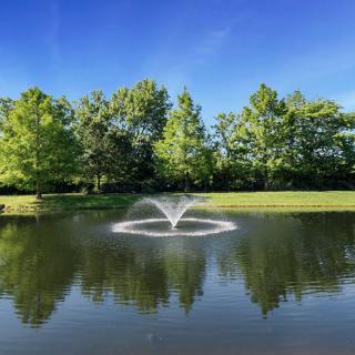 A serene pond with a central fountain, surrounded by lush green trees and under a clear blue sky.