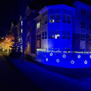 A building adorned with blue holiday lights and illuminated trees at night.