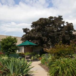 A serene garden with lush greenery, a pathway, and a shaded seating area under an umbrella.