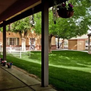 A serene view from a patio showcasing lush green grass and trees, inviting a sense of tranquility.