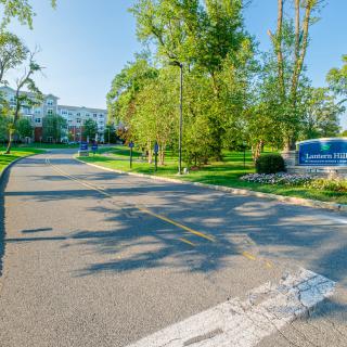 A tree-lined road with a welcoming sign and lush greenery on a sunny day.