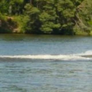 A scenic view of a lake with trees in the background and a wake created by a passing watercraft.