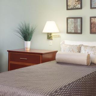 A cozy bedroom with a neatly made bed, a nightstand featuring a lamp and plant, and decorative wall art.