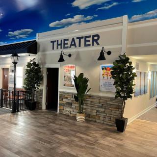 A modern theater interior featuring decorative lights, potted plants, and movie posters.