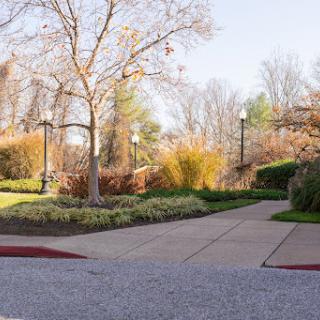 A serene garden pathway surrounded by trees and vibrant foliage.