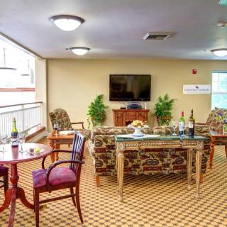 A cozy living room with comfortable seating, a television, and decorative plants.