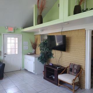 A well-lit living room with green walls, showcasing a TV, decorative plants, and comfortable seating.