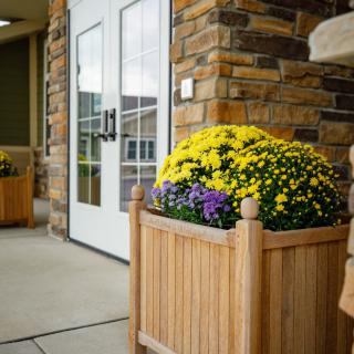 A wooden planter filled with vibrant yellow and purple flowers next to a building entrance.