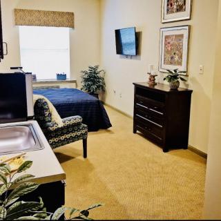 A cozy and well-furnished bedroom with a bed, dresser, TV, and decorative plants.