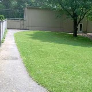 A grassy yard with a pathway, fenced area, tree, and building in the background.