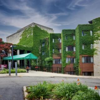 An ivy-covered building with a green awning surrounded by lush greenery and a clear blue sky.
