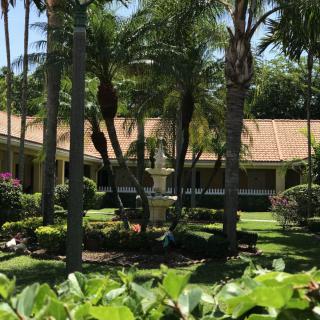 A sunny garden with palm trees and a fountain in front of a house.