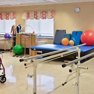 A physical therapy room equipped with parallel bars and exercise balls for rehabilitation exercises.