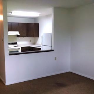 A view of an open-concept living area with a kitchen in an apartment.