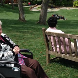Two elderly women enjoying a sunny day in the park, one seated in a wheelchair and the other on a bench.